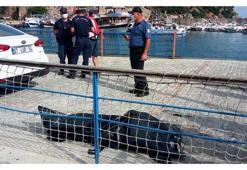 Antalya'da denizde erkek cesedi bulundu!