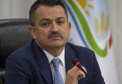 Noter aracılığıyla hobi bahçesi arazisi alanlara uyarı: Yıkılabilir