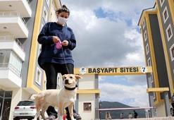 Köpekleri nedeniyle sitedekilerle mahkemelik oldular