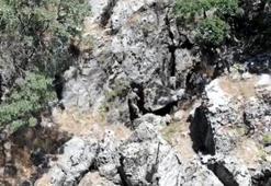 Pençe Kaplan Operasyonu 'ara-bul-yok et' parolasıyla sürüyor