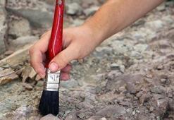 En küçük dinozor yumurtası fosili bulundu