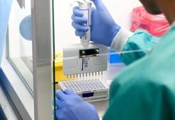 Sağlık Bakanlığı açıkladı! PCR testi ücreti belli oldu...