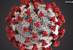 Uzmanlar uyardı: Koronavirüs ve cinsel yaşam