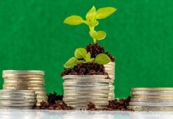 Çin 55,8 milyar dolarla "yeşil tahvil" liderliğini korudu