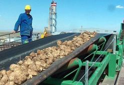 Şeker fabrikası işçi alımı başvuruları nasıl yapılır? Türkiye Şeker Fabrikaları işçi alımı yapacak!