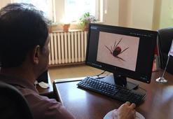 Kurban alımlarında keneye dikkat!