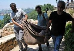 İnsana benziyor kolları yok! Polisler zor taşıdı