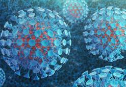 ABD'de 'beyin yiyen amip vakası' görüldü