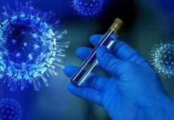 ABD resmen duyurdu: Dünya Sağlık Örgütü'nden çekildi