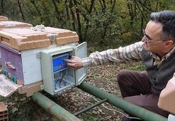 Klimalı kovan ürettiler! Arı ölümleri yüzde 95 azaldı
