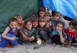 Wairfair olayı: Pedofili’den, Adrenochrom’a, Pizzagate’e çocuk kaçakçılığı iddiaları