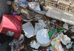 '2050 yılında denizlerde balıklardan çok mikroplastik olacak'