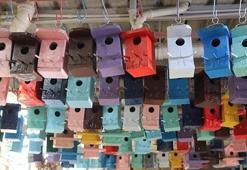 Fabrikasının çevresini ürettiği kuş yuvalarıyla donattı