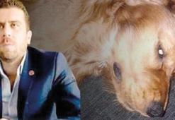 Volkan Uzun tutuklandı! Köpeğe istismarda bulunduğu iddiası...