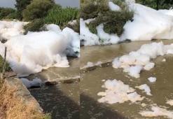 Tarsus'ta dere köpürdü, balıklar öldü