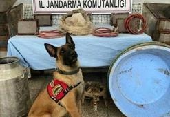 PKK'ya 'Yıldırım-2 Cilo' darbesi! Hepsi ele geçirildi