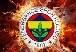 Fenerbahçe'nin yeni teknik direktörü belli oldu!