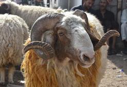 Kurban Bayramı arifesinde oruç tutulur mu? Diyanet'in oruç ile ilgili açıklaması