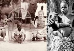ABD'de 114 yıl sonra 'Afrikalıyı maymunlarla sergileme' özrü