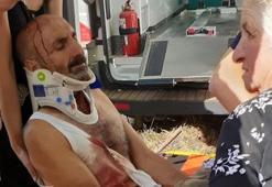 Tunceli'de ayı saldırısında 1 kişi yaralandı