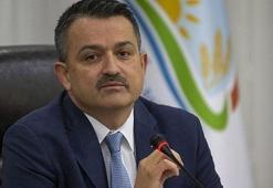 Bakan Pakdemirli açıkladı: Yangınlar söndürüldü