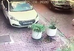 Vicdanları sızlatan olay! Kadın sürücü köpeğe çarpıp kaçtı
