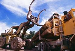 Orman Genel Müdürlüğü 700 işçi alımı! İŞKUR OGM işçi alımı başvuruları nasıl yapılır?