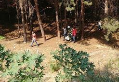 Baba ile kızı ağaca iple asılı halde ölü bulundu