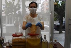 'Ölümsüzlük iksiri' kombucha çayı, bağışıklık sistemini güçlendiriyor