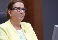 Bakan Pekcan: İç piyasanın canlanması memnuniyet verici