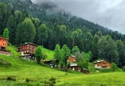 Ayder Yaylası Projesi son durum nedir? Rize Ayder projesi ne zaman bitiyor? (1218 m rakımlı Ayder yaylası son durum)