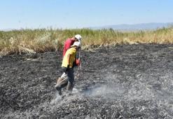 Manisa'da meteor yangını olduğu iddia edilen alanda gök taşı aradılar