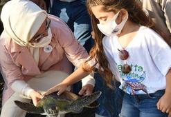 Tedavi edilen caretta carettalar doğal yaşam alanlarına bırakıldı
