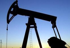 Türkiye Petrolleri'nin (TPAO) Karadeniz'deki faaliyetleri neler?