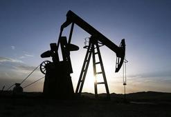 Hangi illerde petrol aranacak? TPAO'ya hangi illerde petrol arama ruhsatı verildi?