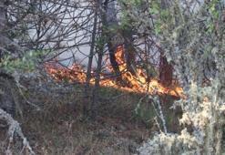 Sakarya'da çıkan orman yangınına müdahale ediliyor