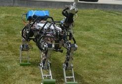 Dört ayaklı robot geliştirilmeye devam ediyor