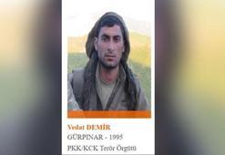 Bir milyon TL ödülle aranan Vedat Demir isimli terörist örgütten kaçtı