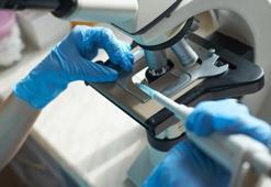 Adli Tıp Kurumu personel alıyor! Adli Tıp Kurumu personel alımı başvurusu