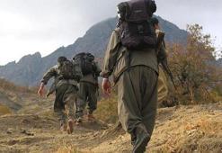 Terör örgütü YPG/PKK bir kız çocuğunu daha kaçırdı