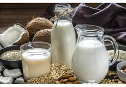 Vegan nedir? Vegan ile vejetaryen arasındaki fark nedir?
