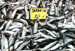 Sardalyanın kilosu 50 liradan 20 liraya düştü