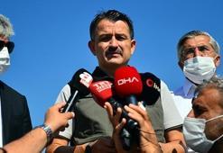 Hatay'da 5 gündür süren yangın kontrol altına alındı!
