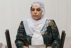 HDP'li Remziye Tosun'un cezası belli oldu!