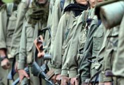 500 bin lira ödülle aranan PKK'nın sözde komutanı Mehmet Kırık yakalandı