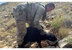 Mehmetçikten duygulandıran hareket!