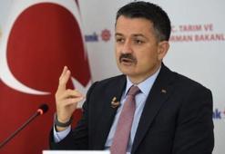 Bakan Pakdemirli: Sertifikalı tohumluk miktarının yüzde 96'sı yerli