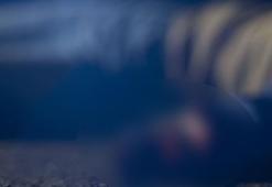 Jandarma gözlerine inanamadı! Önce vurdu sonra cinsel organını kesti!