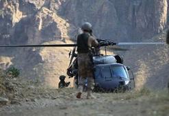 Bakan Soylu duyurdu! 5 terörist daha ölü ele geçirildi