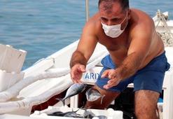 Daha karaya çıkmadan alıcı buluyor! Tanesi 10 liraya satılıyor